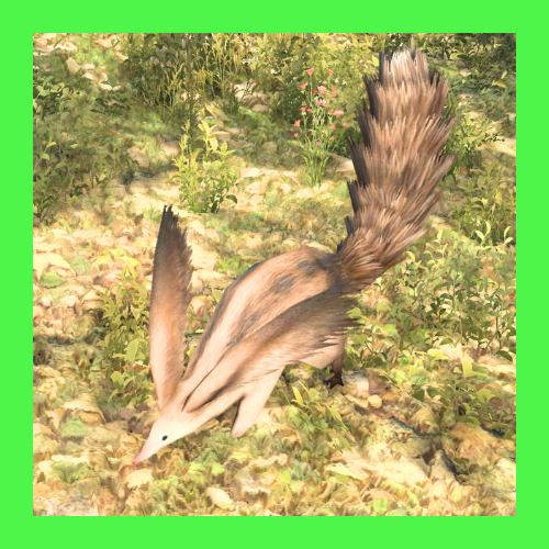 スクウィレル