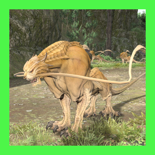 クァール･パップ