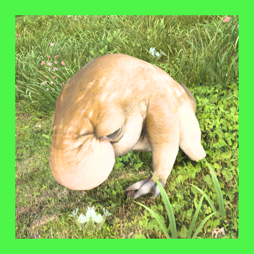 シュアモール