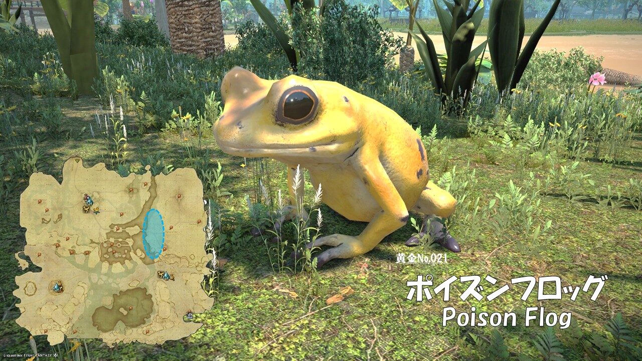 カオティック　ポイズンフロッグ 黄金No.021 ポイズンフロッグ(Poison Flog)｜さにすとのインベントリ