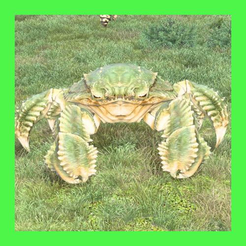 メガロクラブ